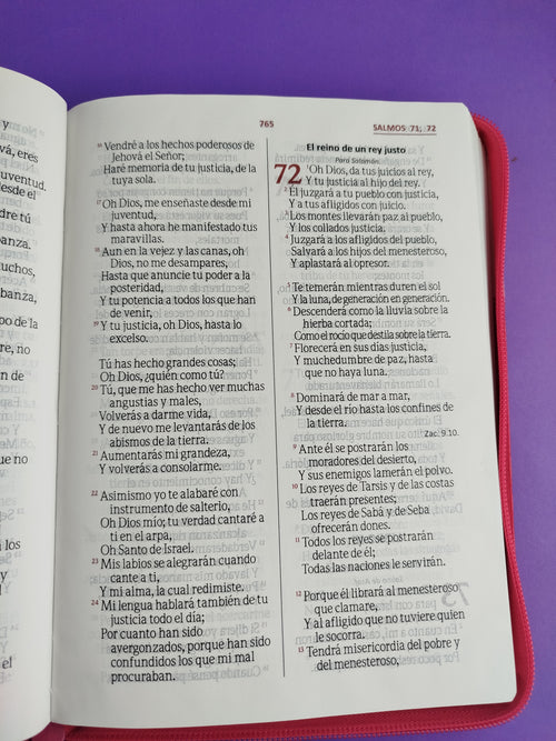 Biblia Letra Gigante Fucsia Rosa Sin Indice by libreriatroya.com