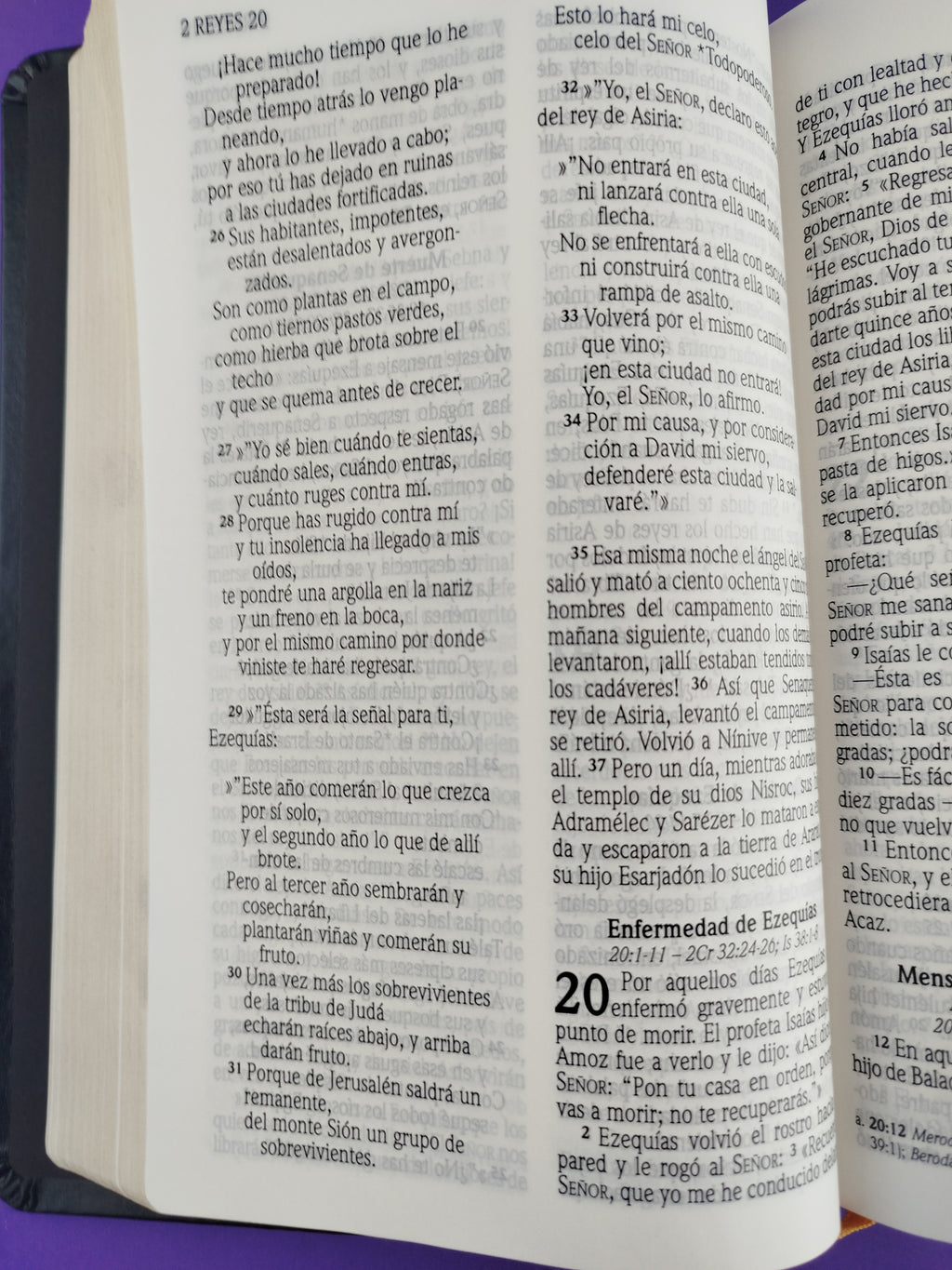 Biblia nvi letra grande cuero italiano negra by Nueva Versión Internacional