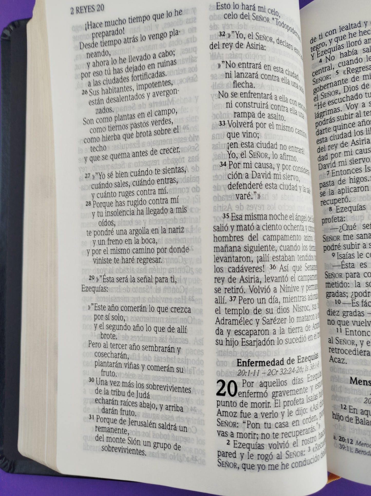 Biblia nvi letra grande cuero italiano negra by Nueva Versión Internacional