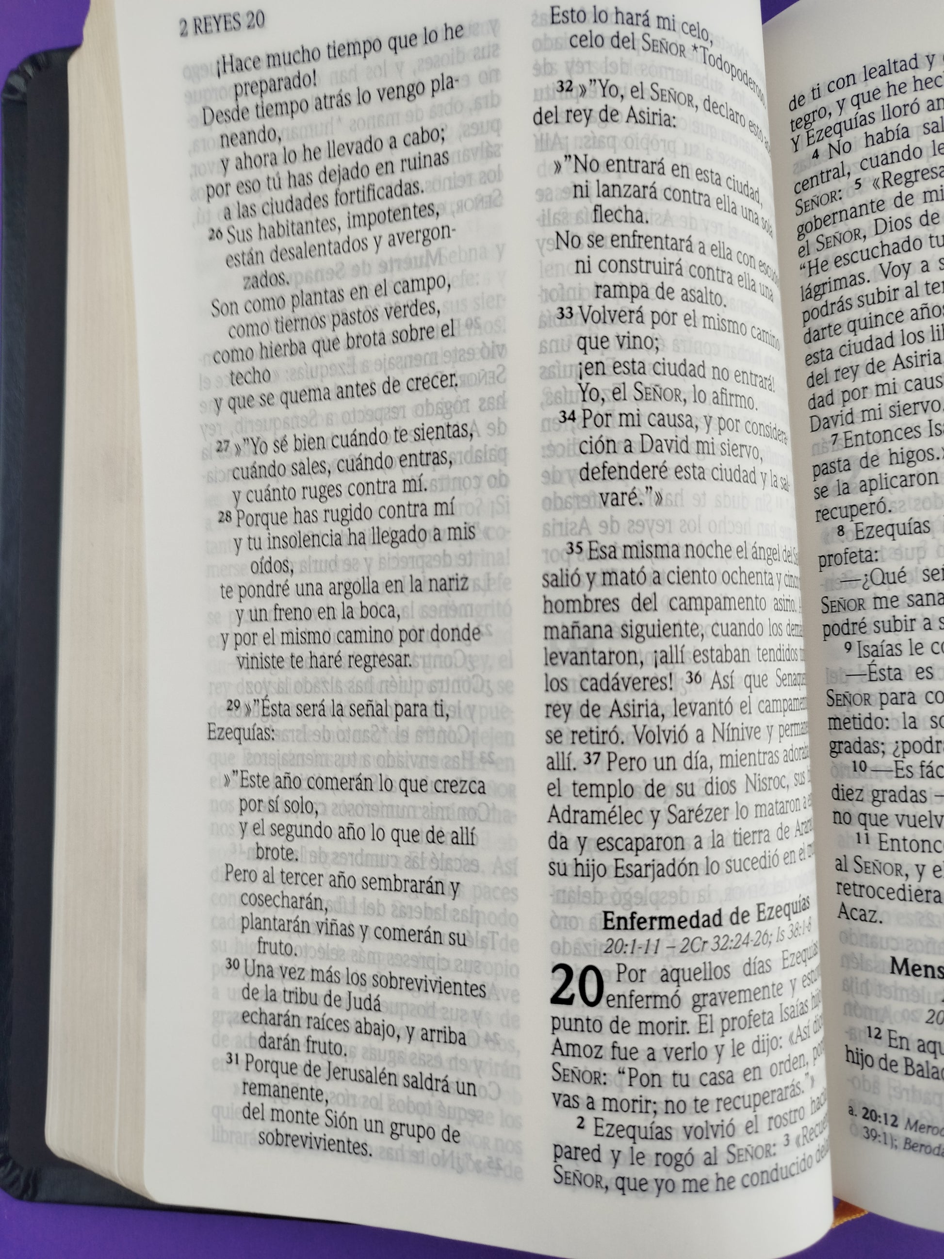 Biblia nvi letra grande cuero italiano negra by Nueva Versión Internacional