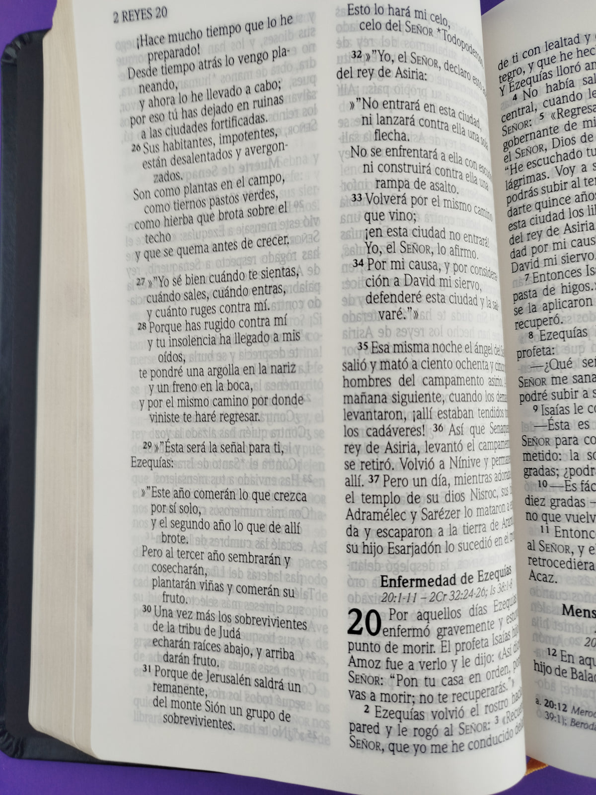 Biblia nvi letra grande cuero italiano negra by Nueva Versión Internacional