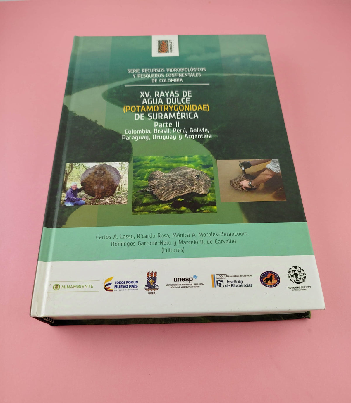 XV. Rayas de agua dulce (Potamotrygonidae) de Sudamérica parte II Colombia, Brasil, Perú, Bolivia, Paraguay, Uruguay y Argentina by Carlos A Lasso