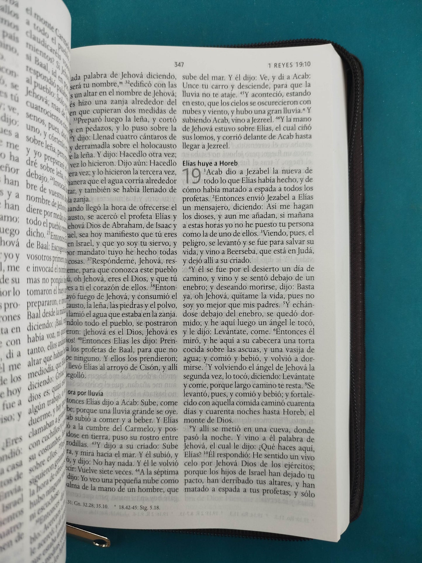 Biblia rvr 1960 letra grande estuche café