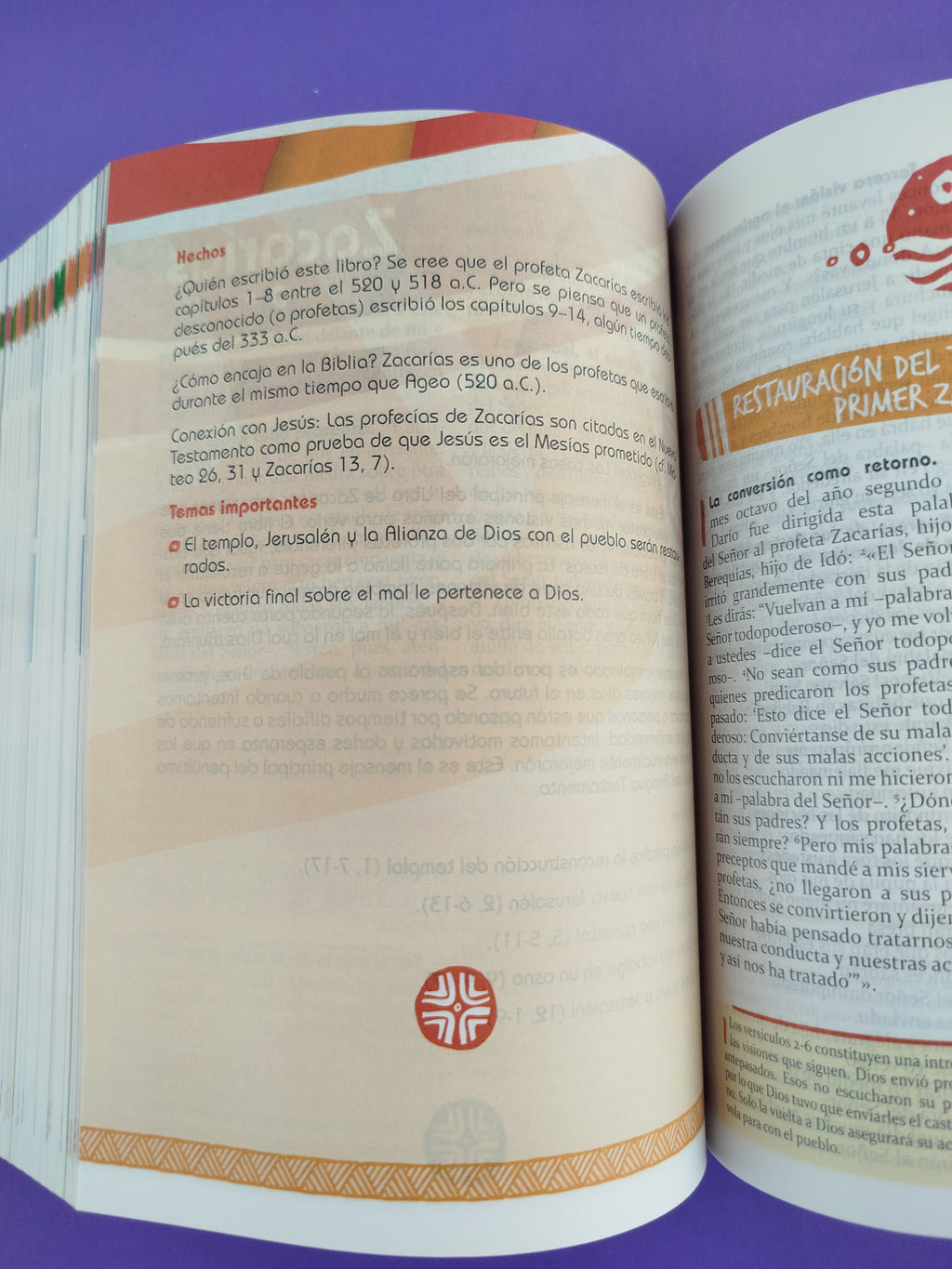 Biblia didáctica para jóvenes Rustica by Varios