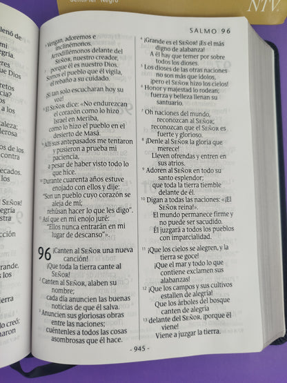 Biblia ntv letra gigante edición manual sentipiel negra by Nueva Traducción Viviente