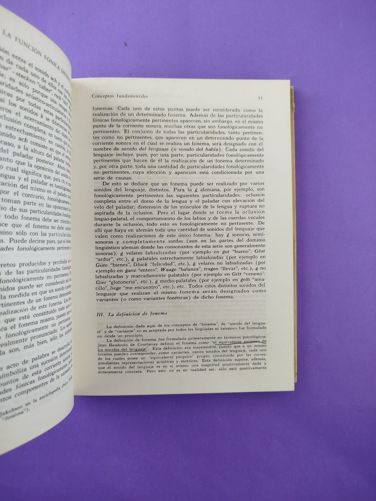 Principios de fonología by N.S. Trubetzkoy