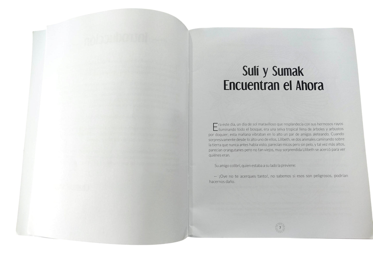 Sulí y sumak encuentran el ahora del Arcángel Chamuel libro 4