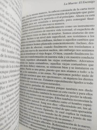 Jung y el tarot un viaje arquetípico by Sallie Nichols