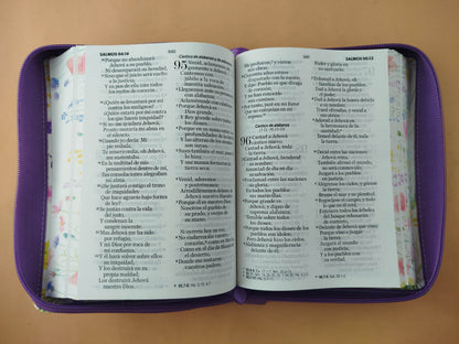 Biblia rvr 1960 colección primaveral letra grande morada con cierre