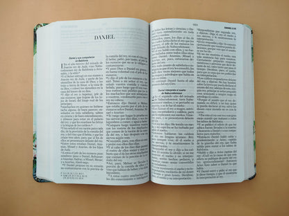 Biblia rvr letra grande vintage borde blanco