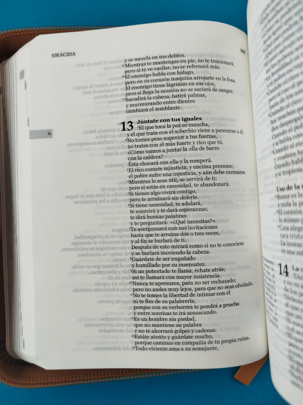 Nuestra sagrada biblia clásica estuche cafe claro by Varios