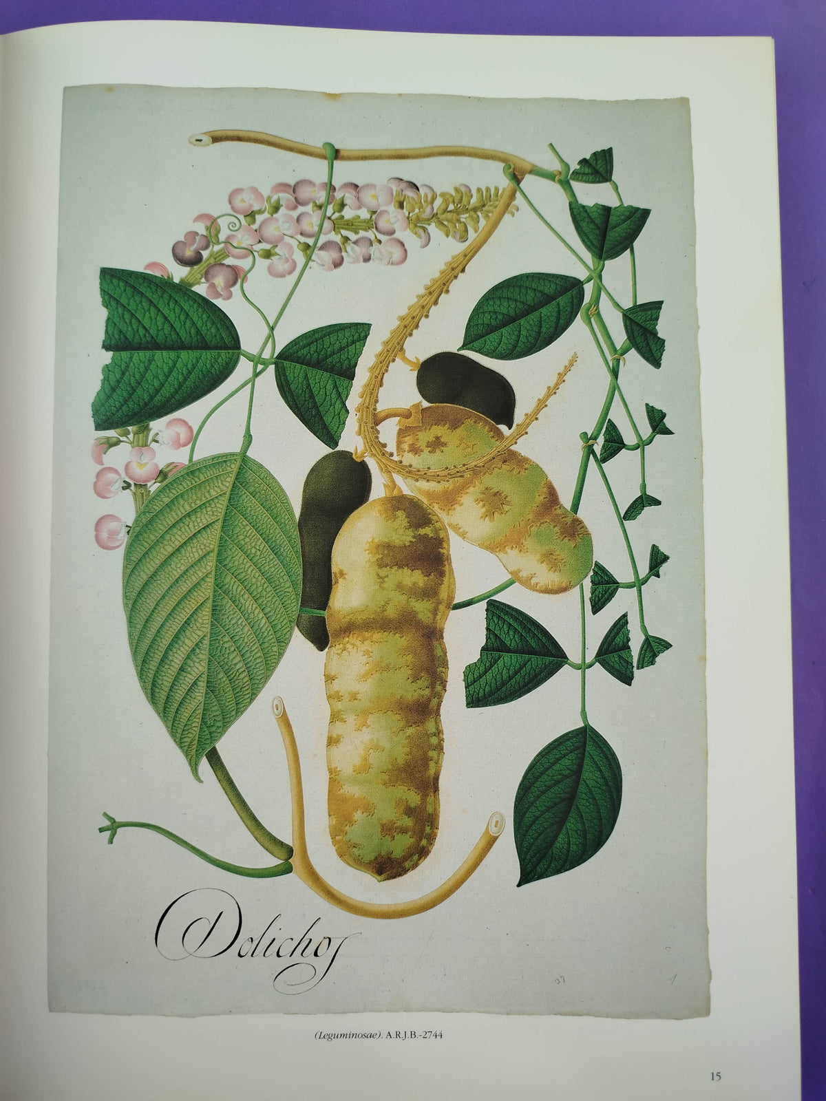 Mutis y la real expedición botánica del nuevo reino de granada by Real Jardín Botanico