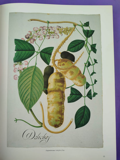 Mutis y la real expedición botánica del nuevo reino de granada by Real Jardín Botanico