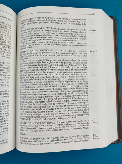 Biblia Rvr En Orden Cronológico Ed. Lujo Duo Tono