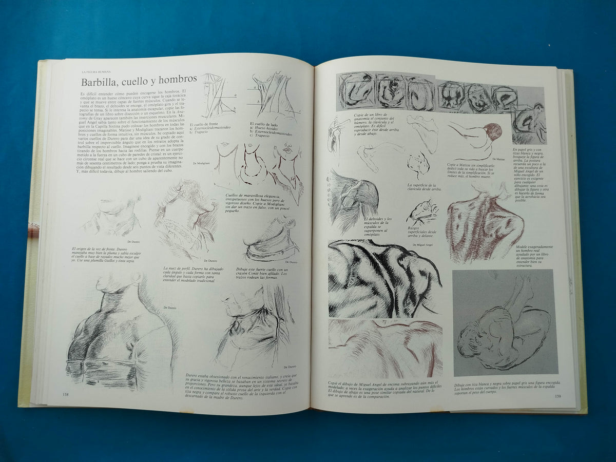 Dibujar con los grandes maestros by Jeffery Camp