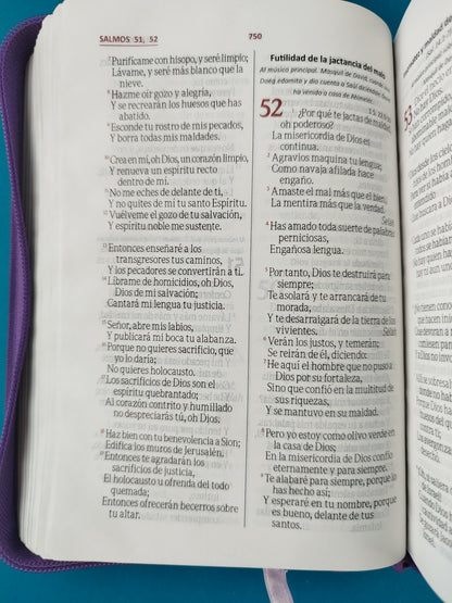 Biblia troquelada morada flores canto plateado by Reina Valera 1960