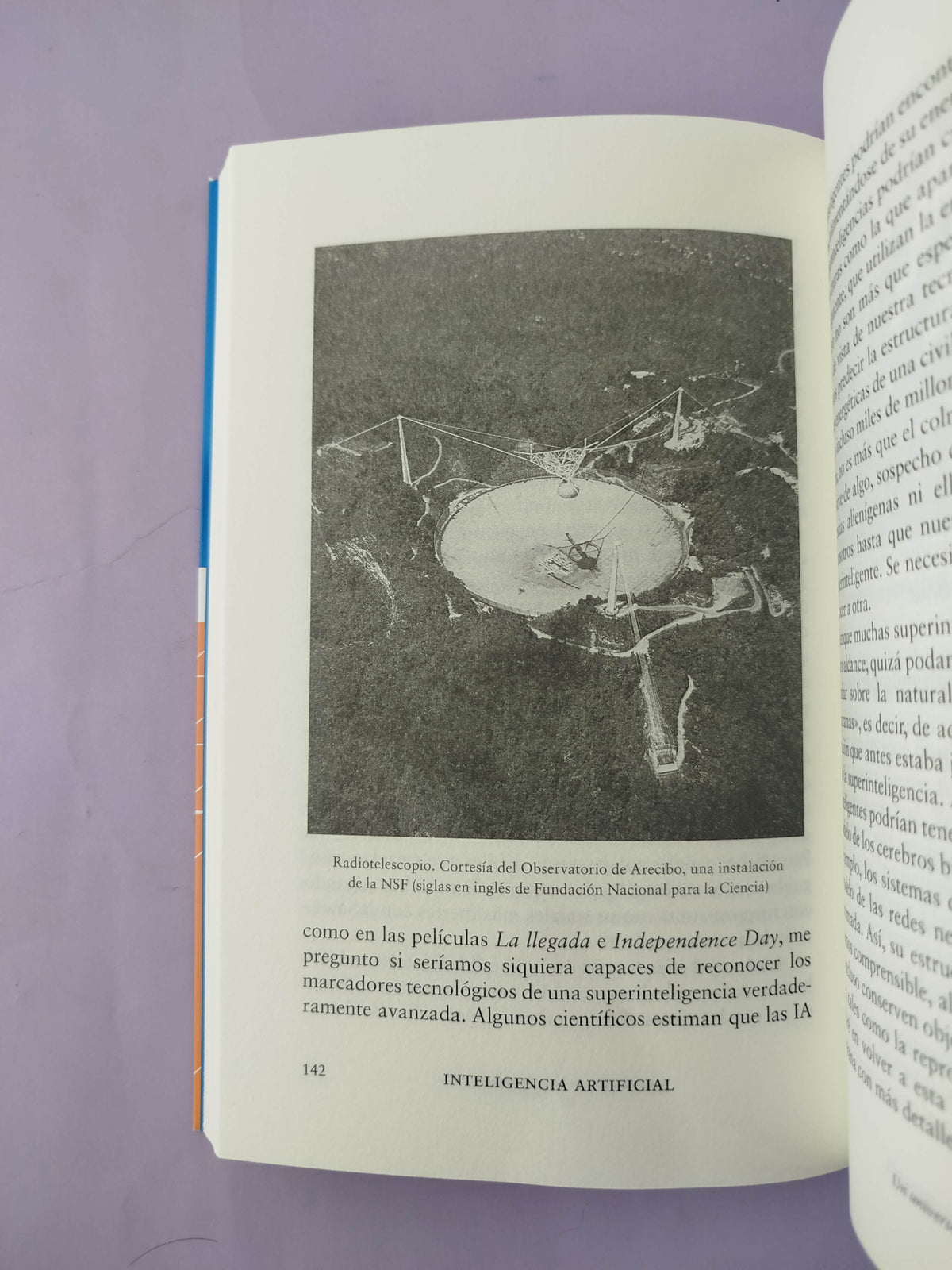 Inteligencia artificial Una exploración filosófica sobre el futuro de la mente y la conciencia by Susan Schneider