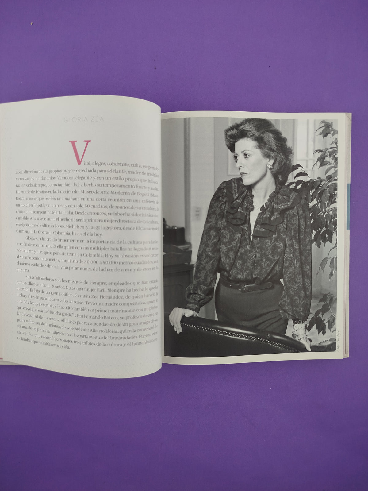 Profesión: Mujer by Pilar Castaño