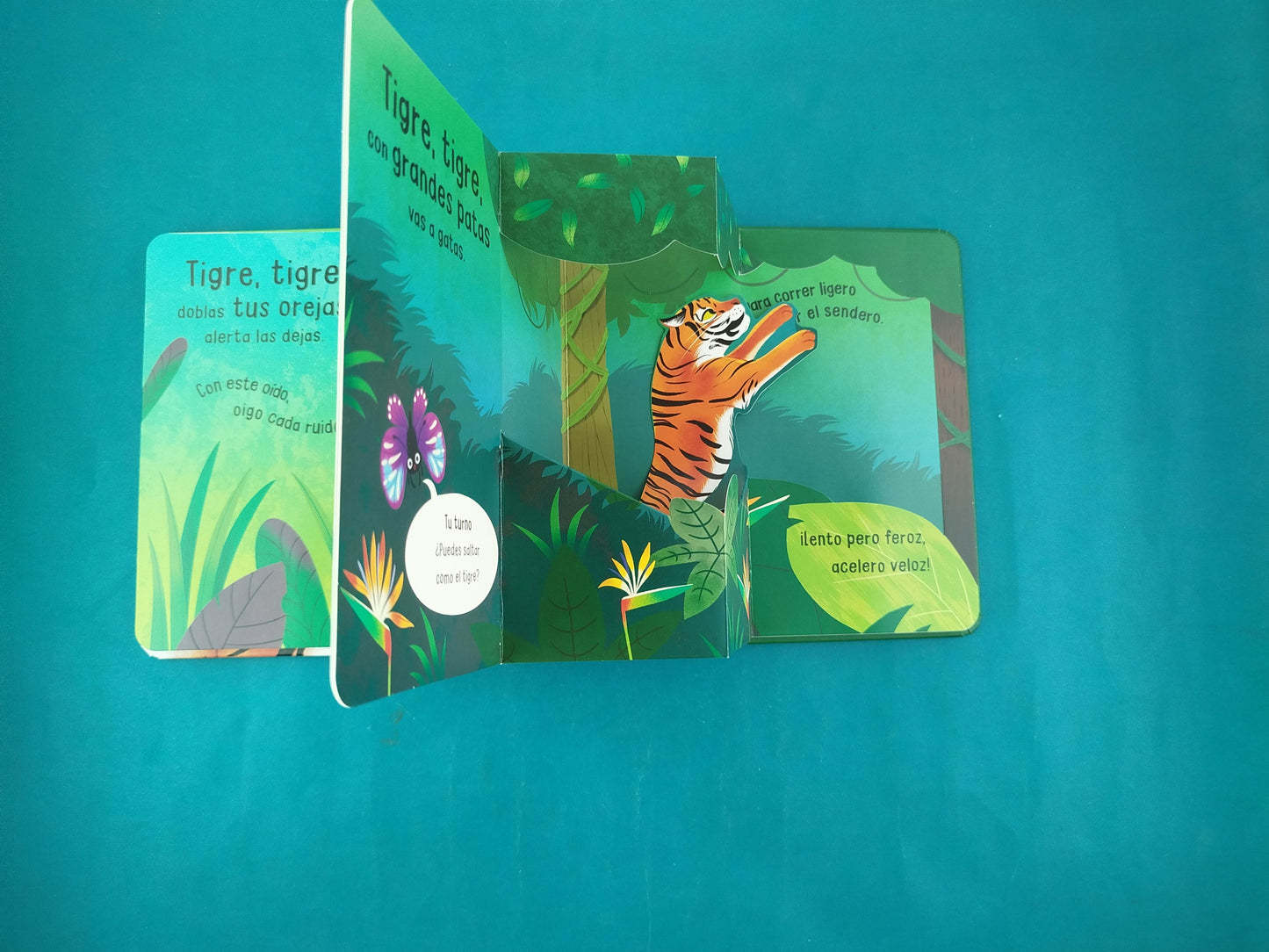 Tigre,Tigre, qué pelaje tan rayado !