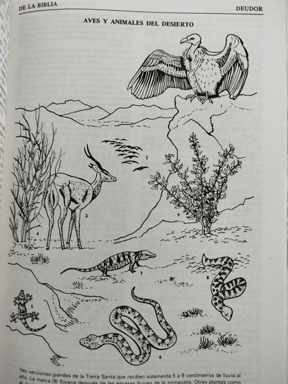 Diccionario ilustrado de la biblia by Dr Wilton M Nelson