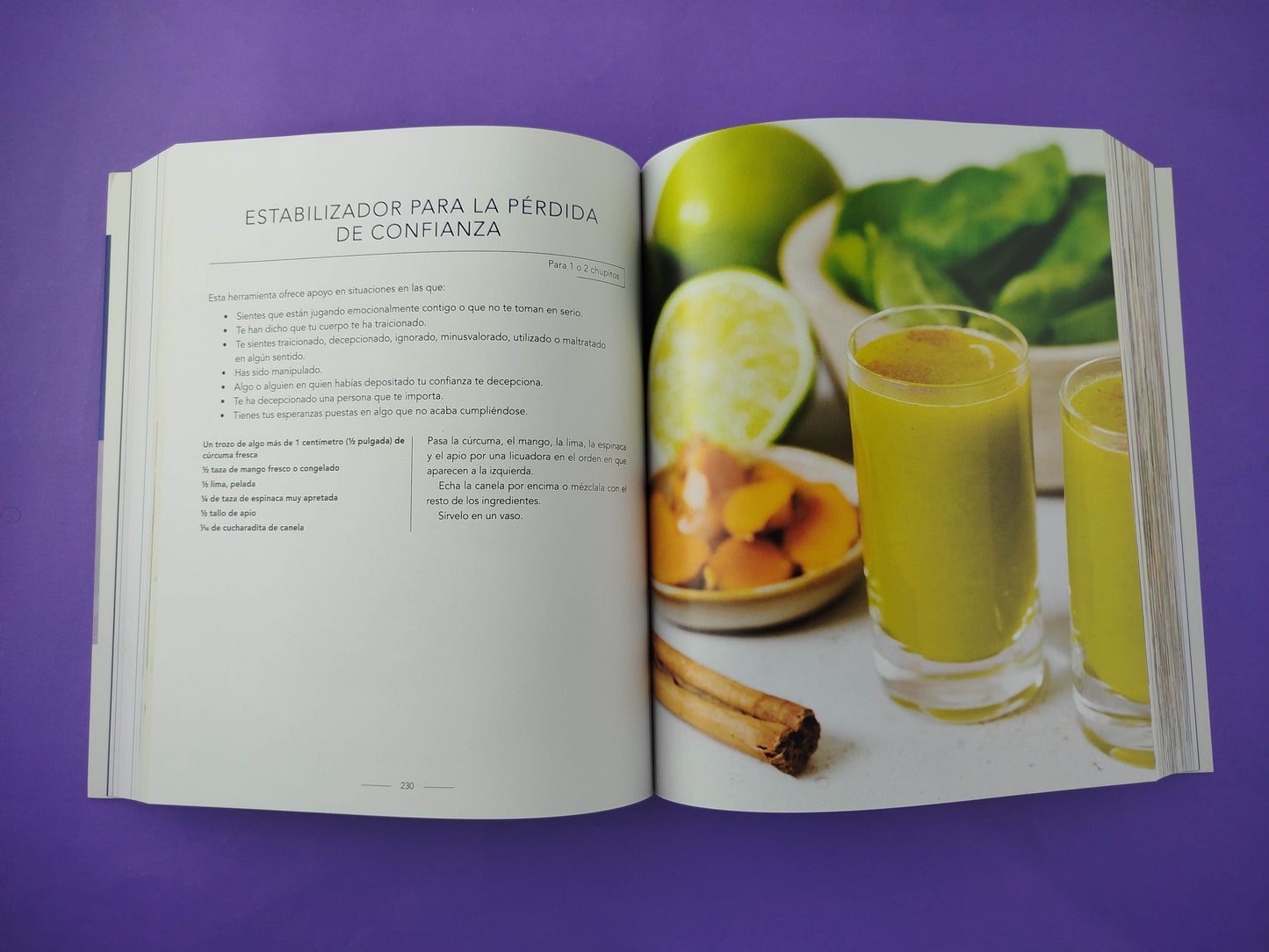 Médico Médium Cuidar tu cerebro Protocolos, limpiezas y recetas