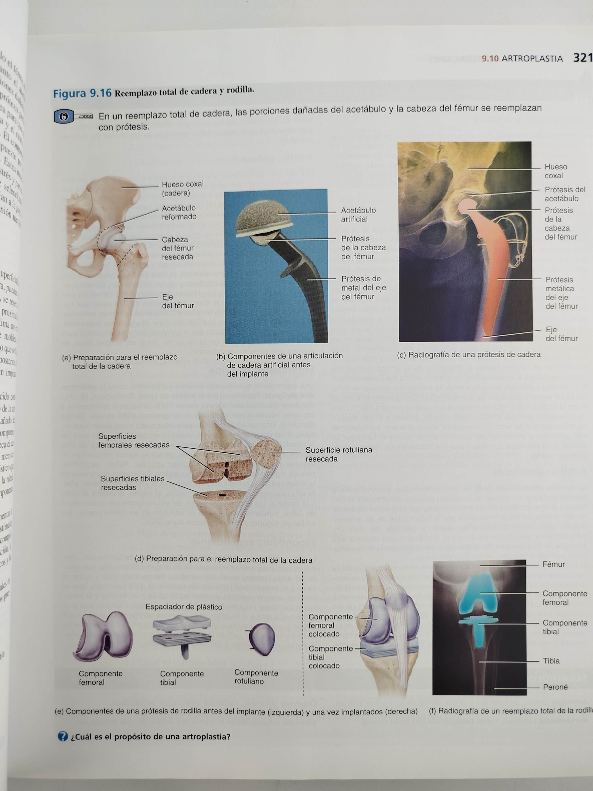 Principios de anatomía y fisiología 13 edición by Gerard J Tortora Bryan Derrickson