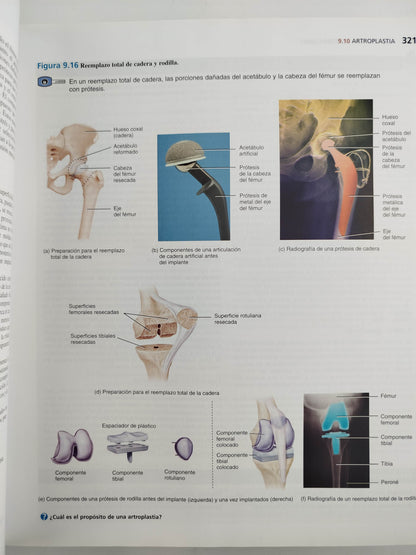 Principios de anatomía y fisiología 13 edición by Gerard J Tortora Bryan Derrickson