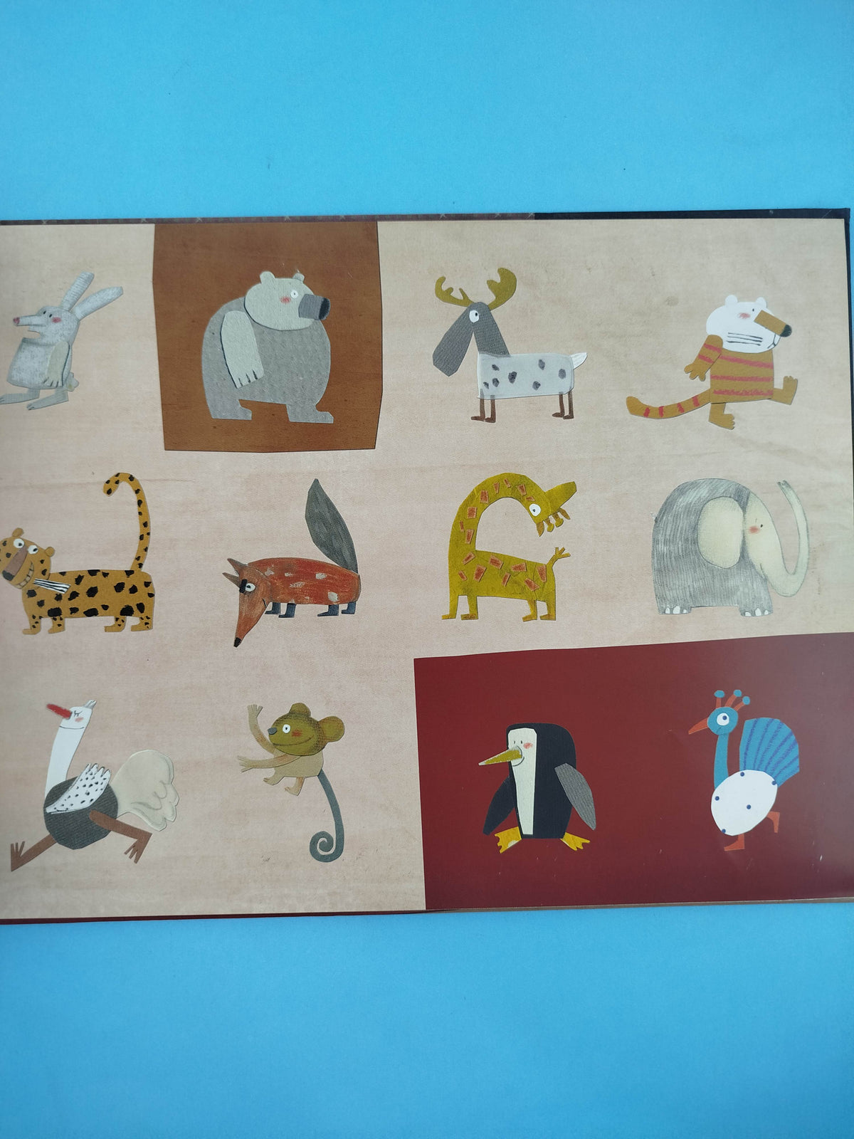 Animalario by Carmen Gil Àngels Navarro Carmen Queralt