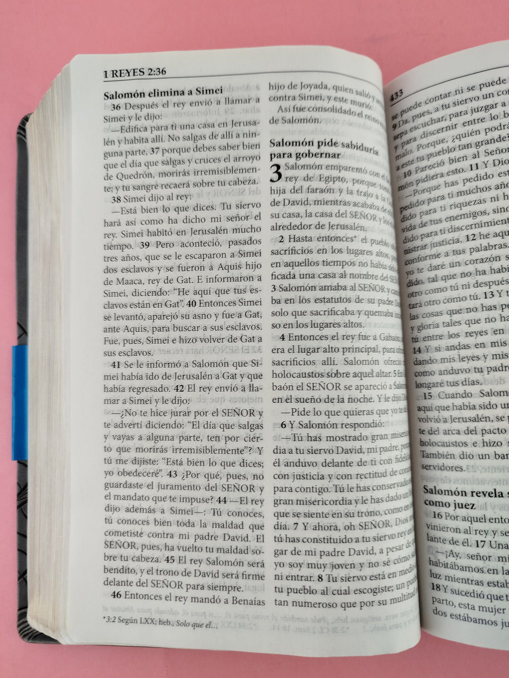 Biblia 2015 letra grande gris by Reina Valera actualizada 2015