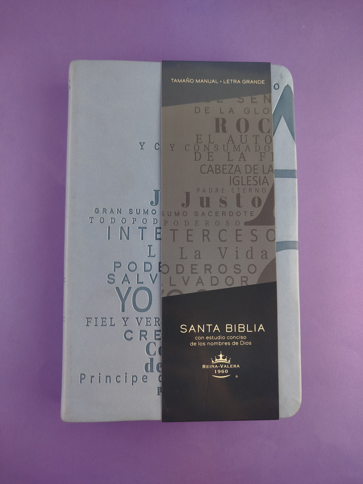 Biblia rvr 1960 nombres de Dios letra grande azul celeste canto plateado by Reina Valera 1960