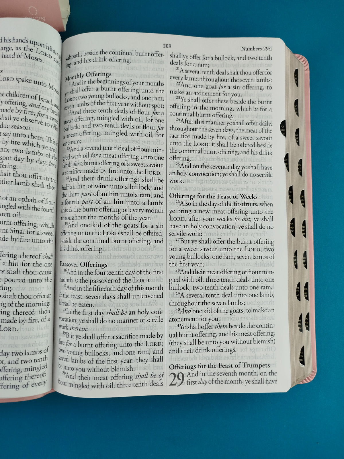 Biblia en ingles holy bible king james version rosada con índice by Reina Valera 1960