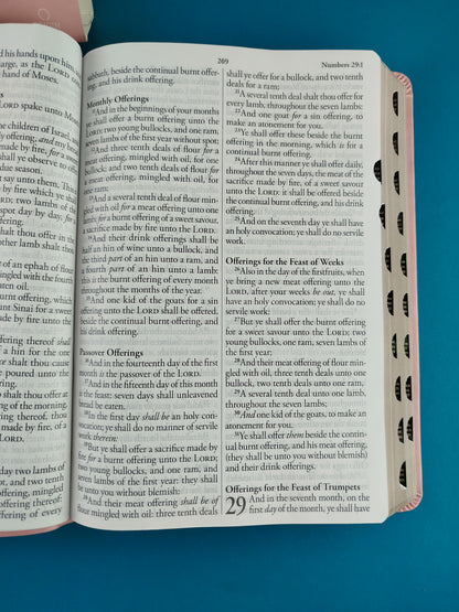 Biblia en ingles holy bible king james version rosada con índice