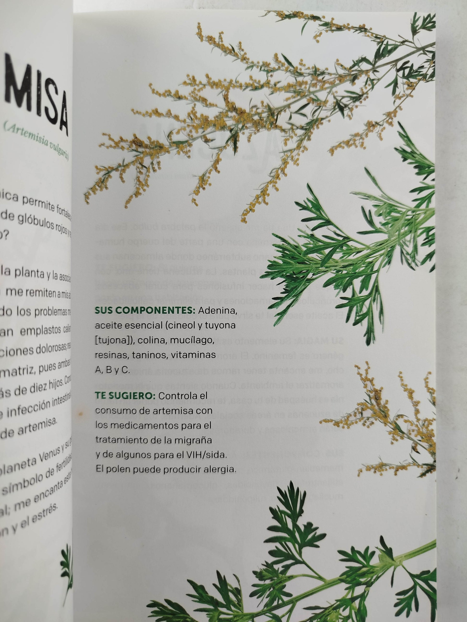 Mi Sabia Naturaleza by Amparo Grisales