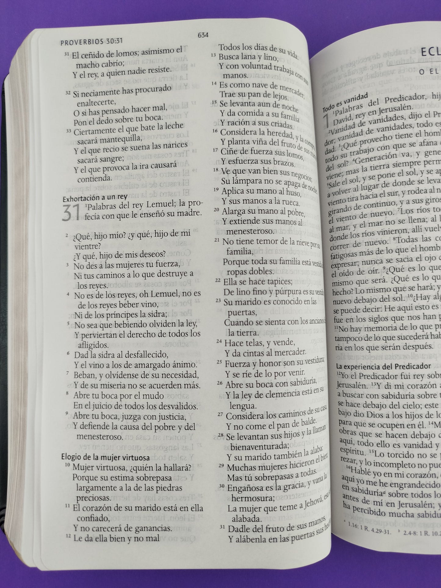 Biblia rvr 1960 letra grande tipo agenda negra sin cierre borde dorado e imágenes de la tierra santa tamaño manual