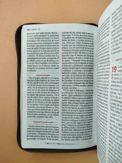Biblia rvr letra grande cafe borde dorado