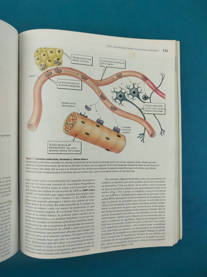 Biología anatomía y fisiología animal sexta edición