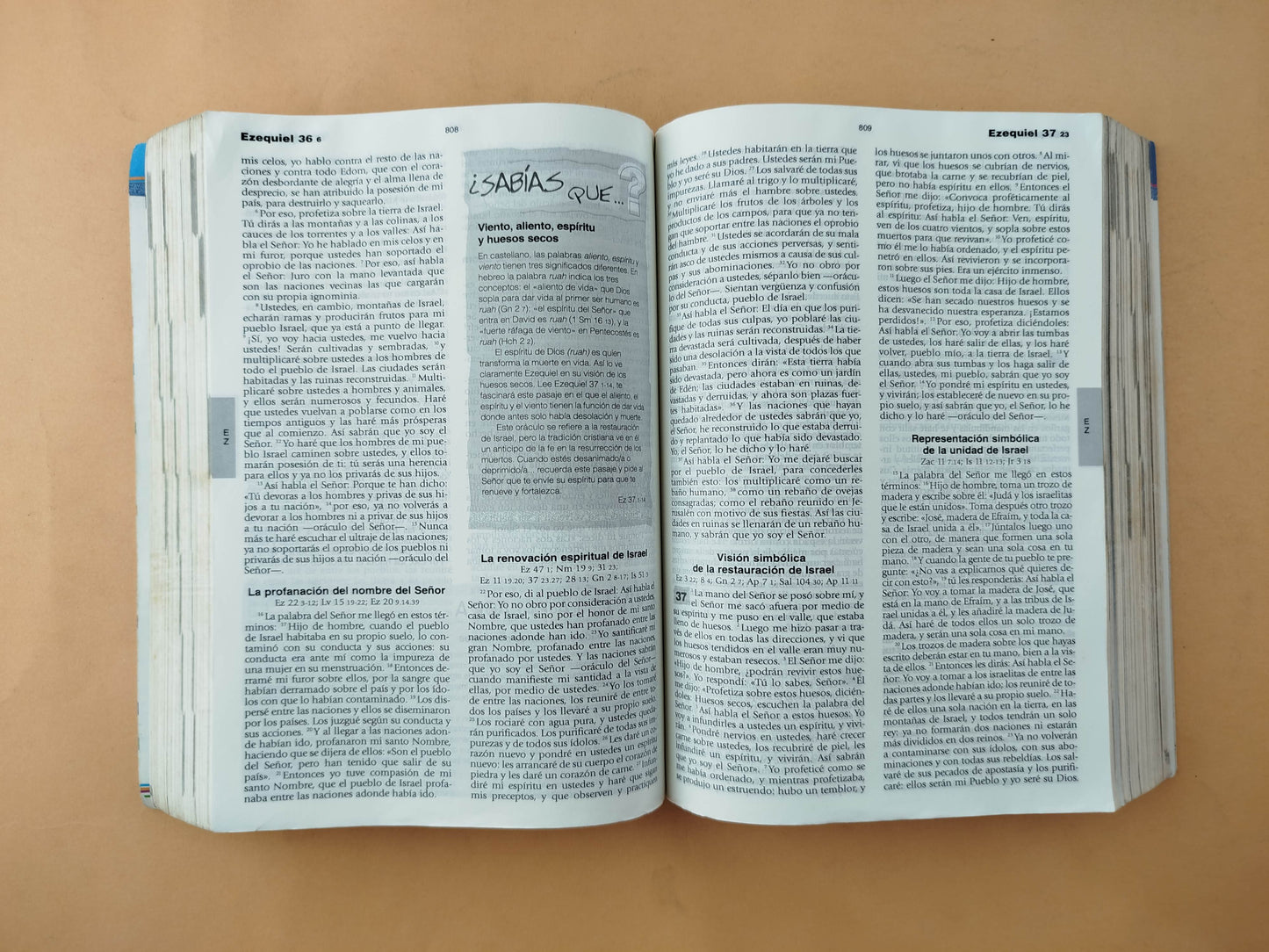 La Biblia Católica para Jóvenes