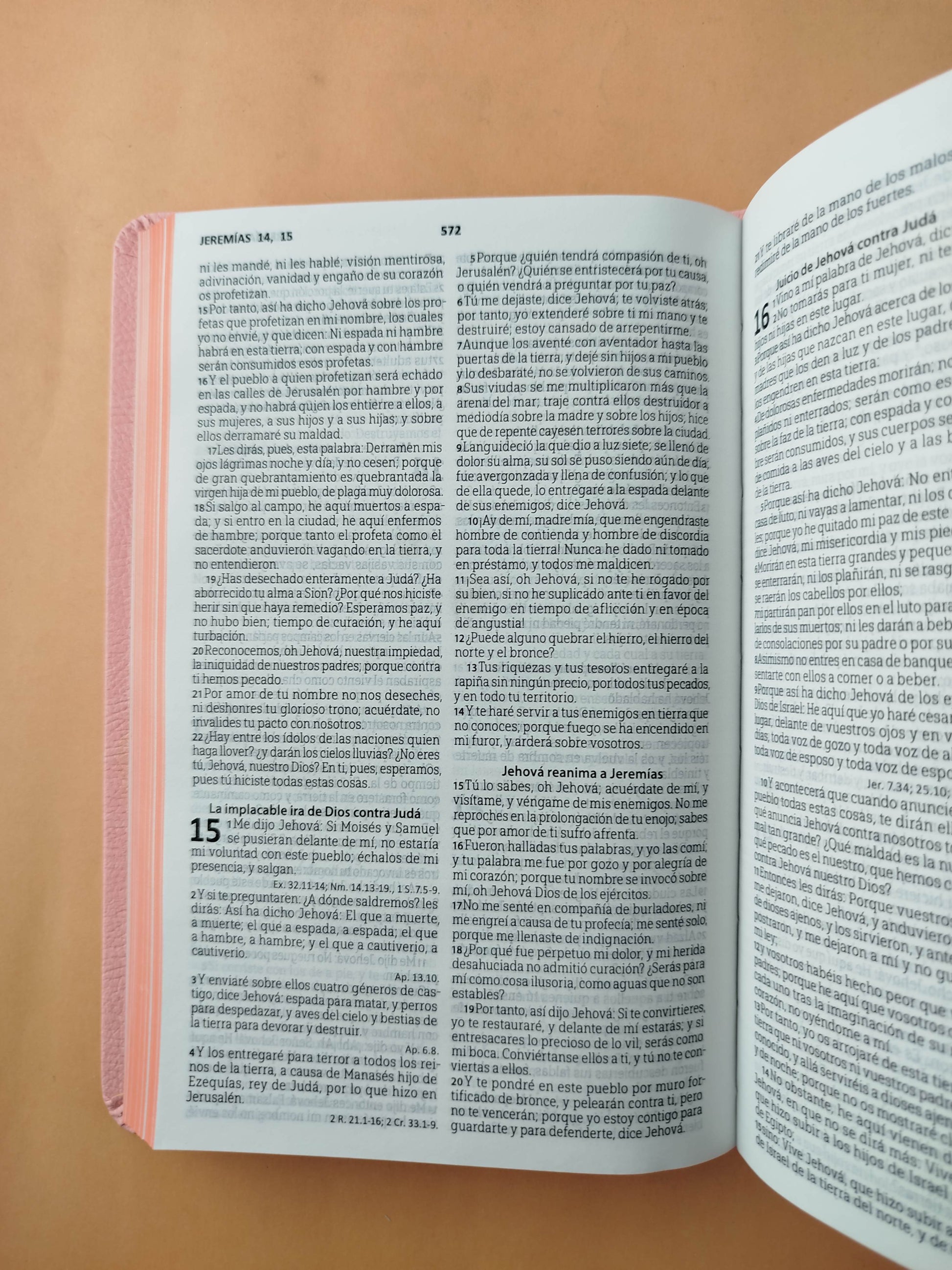 Biblia tipo agenda rosada by Reina Valera 1960