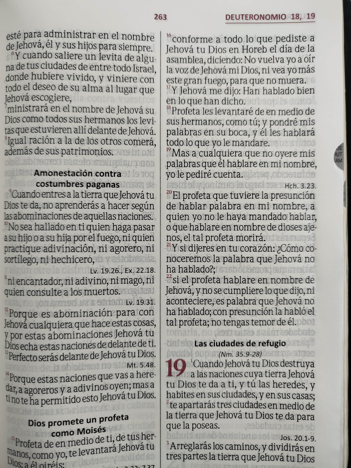 Biblia reina Valera letra grande con índice negro by Dios habla hoy