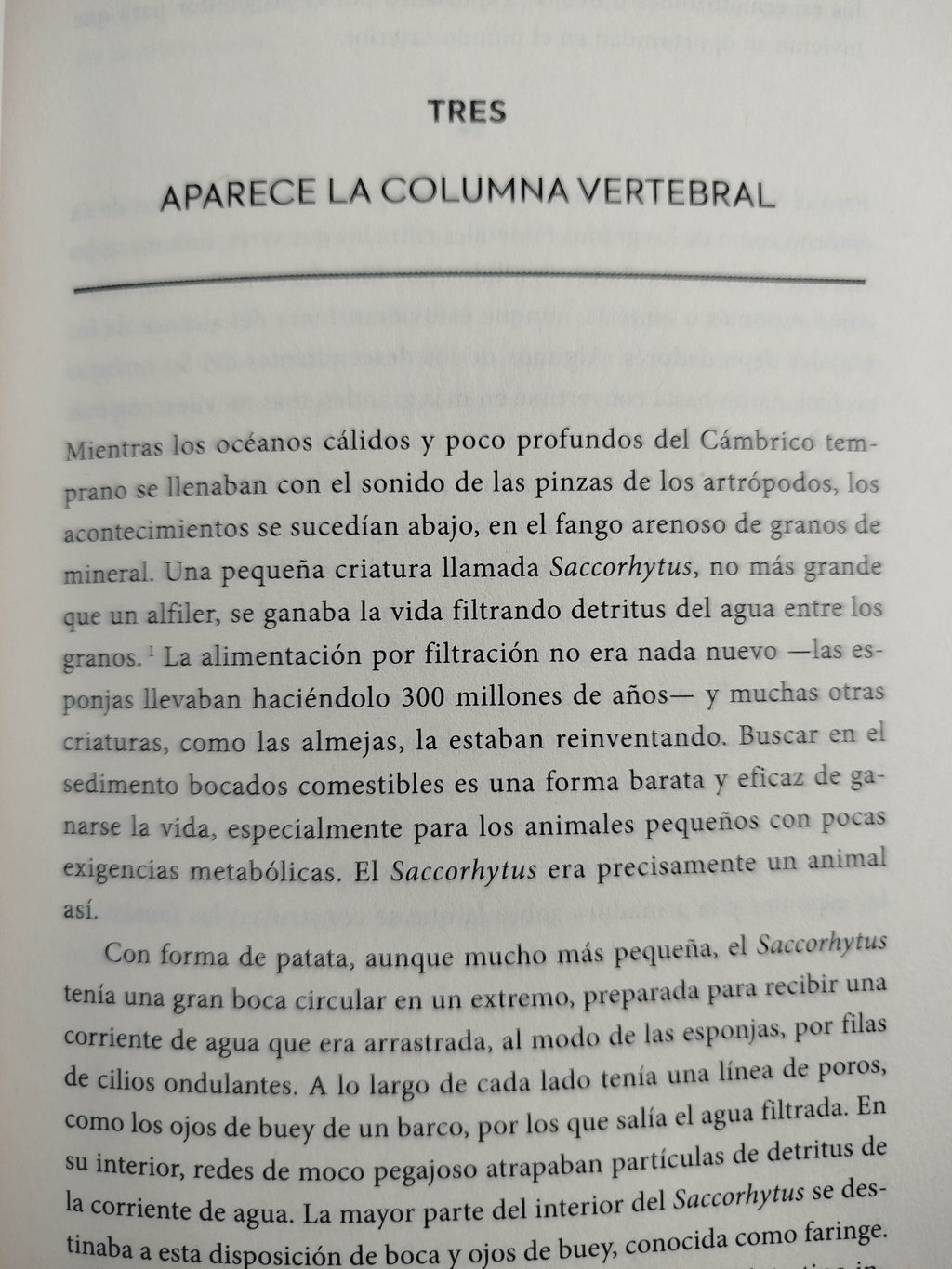 Una (muy) breve historia de la vida en la tierra by Henry Gee