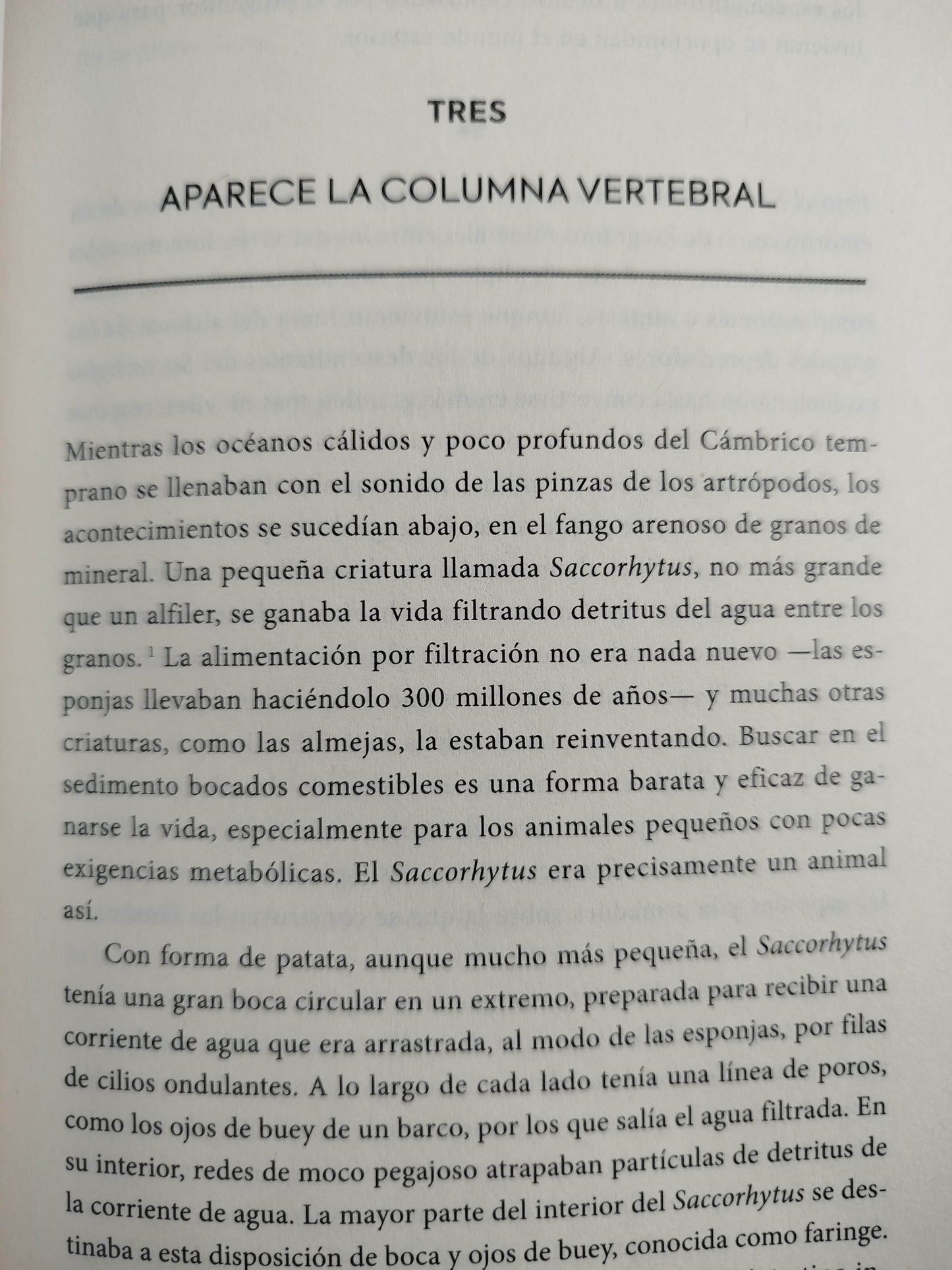 Una (muy) breve historia de la vida en la tierra by Henry Gee