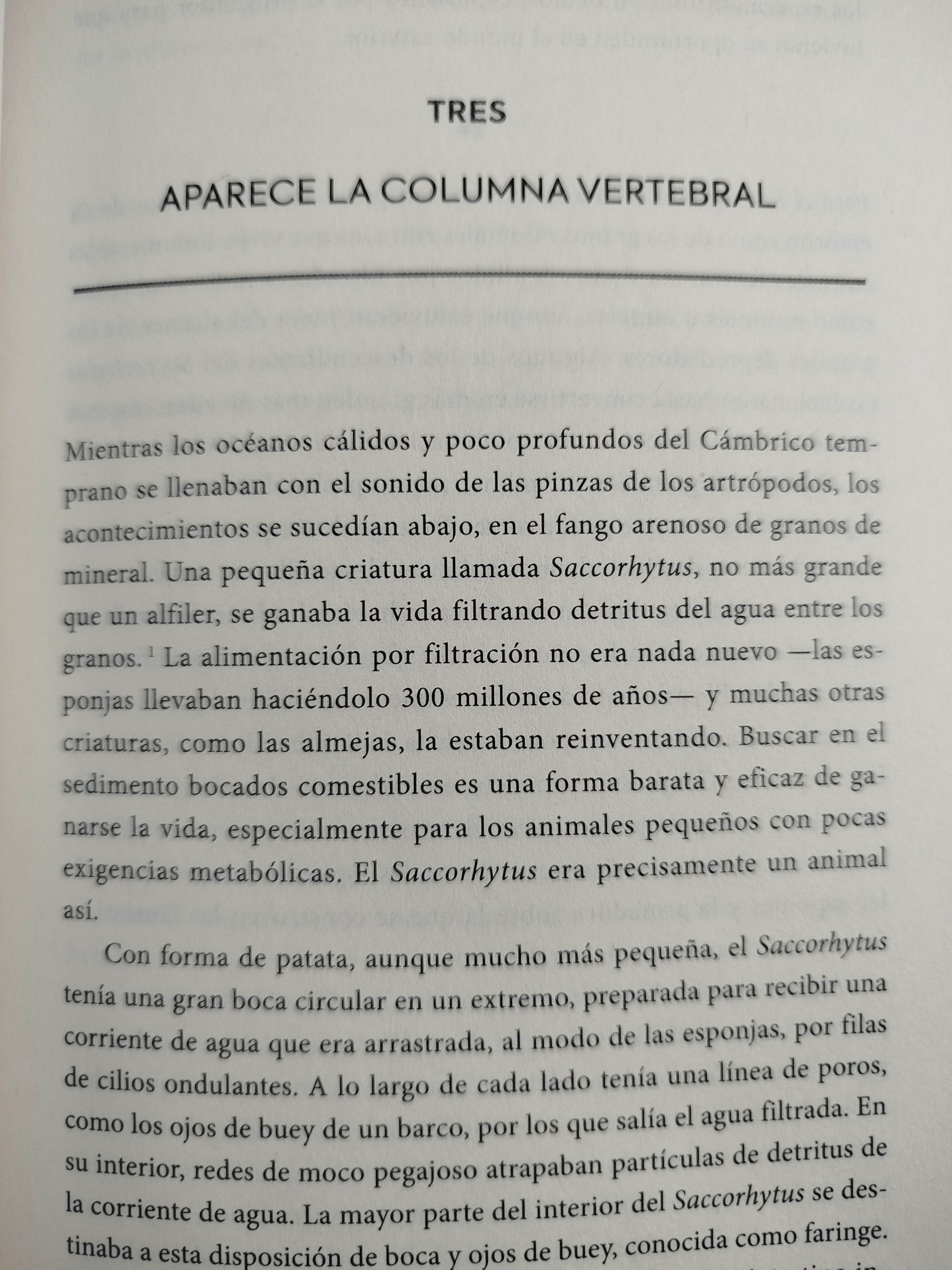 Una (muy) breve historia de la vida en la tierra by Henry Gee