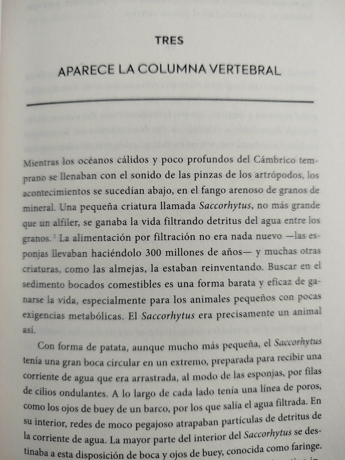 Una (muy) breve historia de la vida en la tierra by Henry Gee
