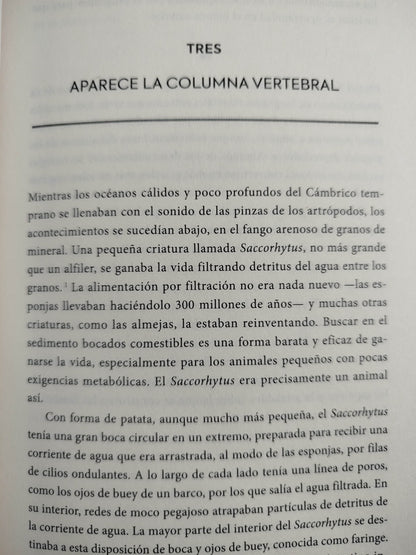 Una (muy) breve historia de la vida en la tierra by Henry Gee
