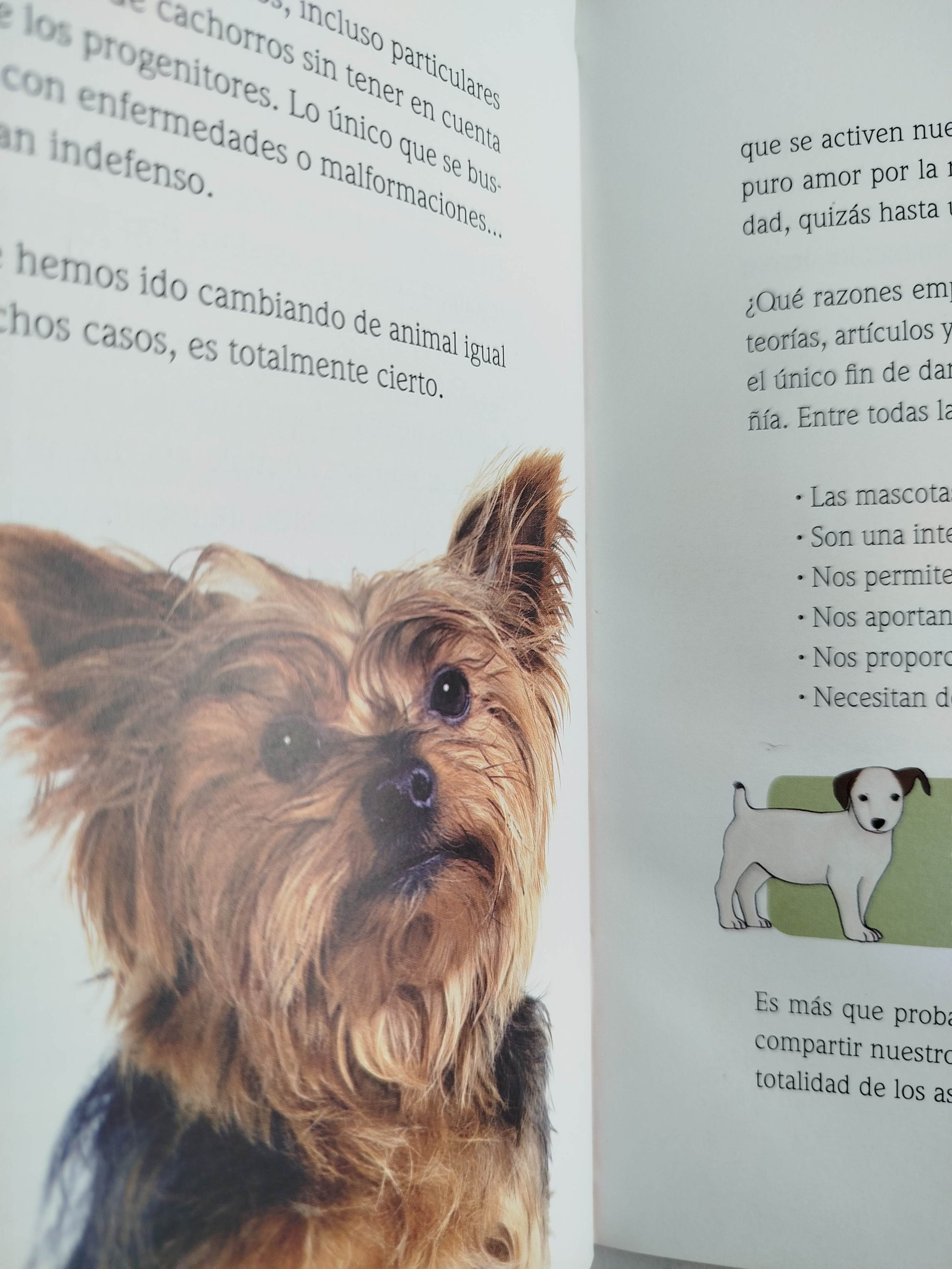 El encantador de perros 5 un perro ¿Qué perro? by Carlos Rodriguez