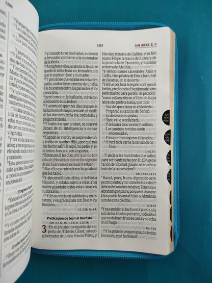 Biblia rvr Beige verde aguamarina Canto Dorado Cierre con índice by Reina Valera 1960