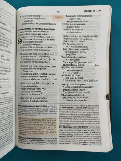 Biblia de Estudio Teológico