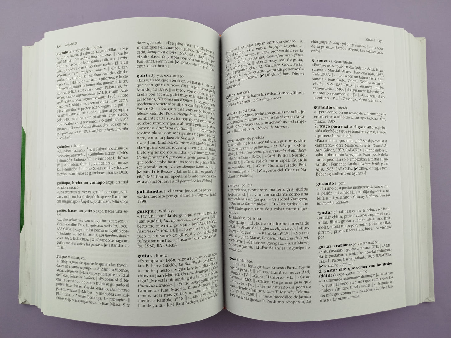 Diccionario sohez del español cotidiano (2ª edición)