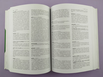 Diccionario sohez del español cotidiano (2ª edición)