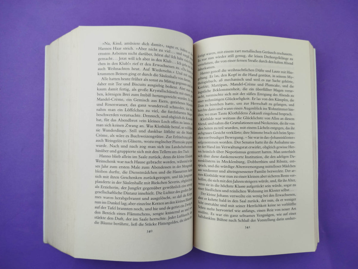 Buddenbrooks by Thomas Mann